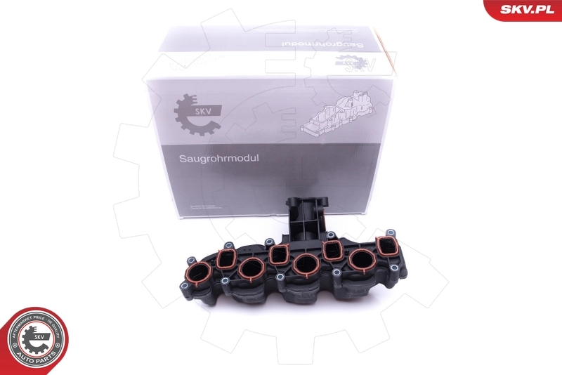 Intake Manifold Module